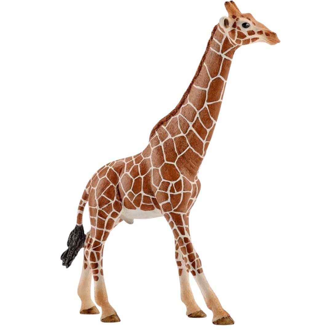 Schleich Wild Life Giraffe Male 14749