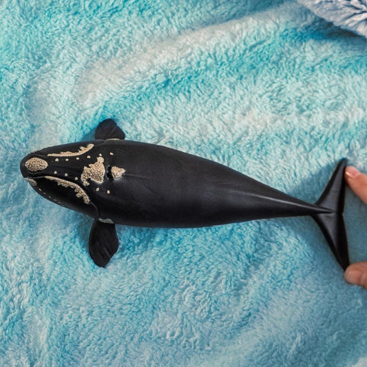 Schleich Wild Life North Atlantic Right Whale 14878