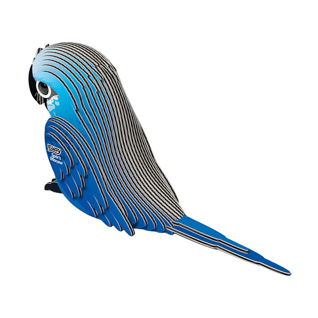 Eugy 3D Model 123 Spix's Macaw
