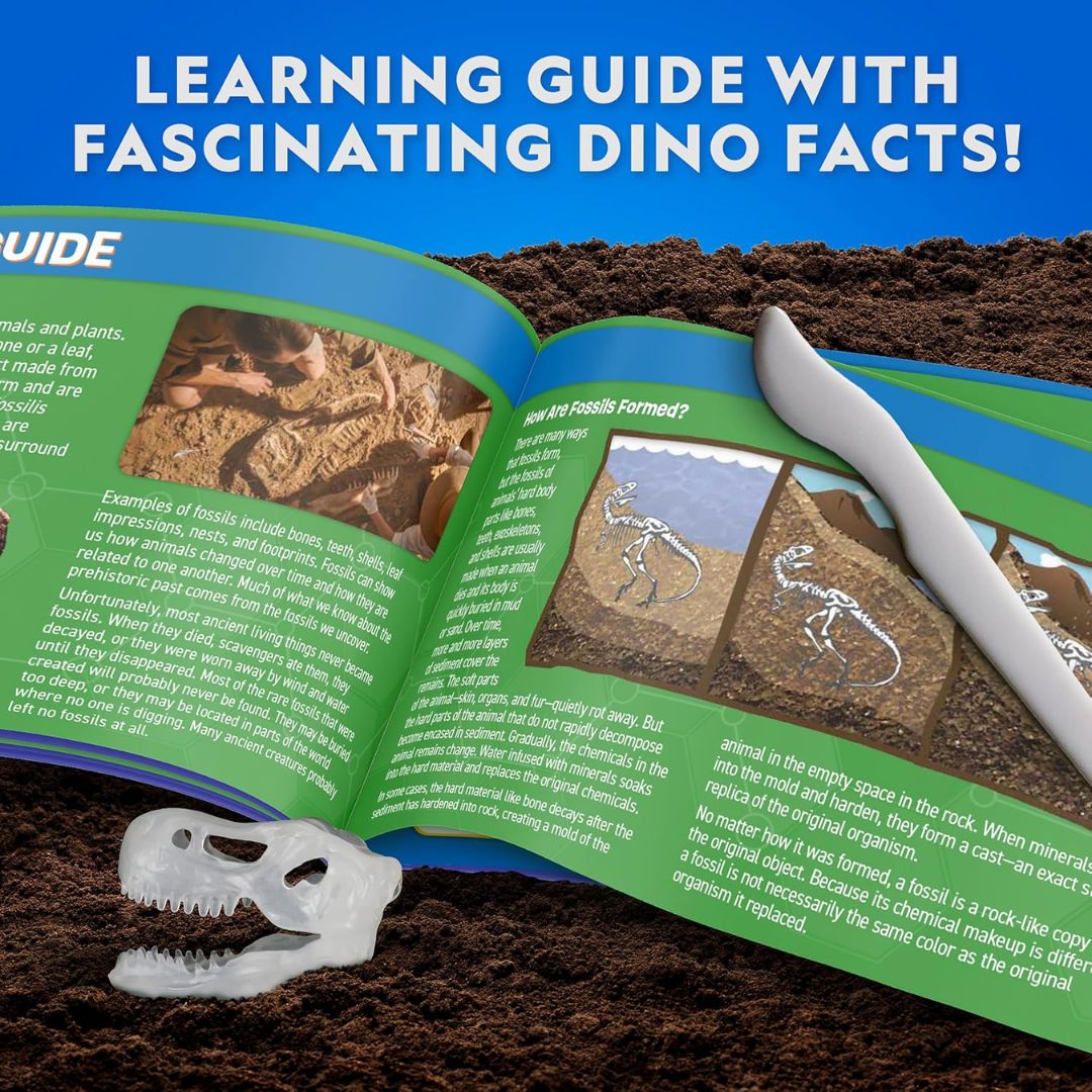 National Geographic Dissection Lab T.Rex