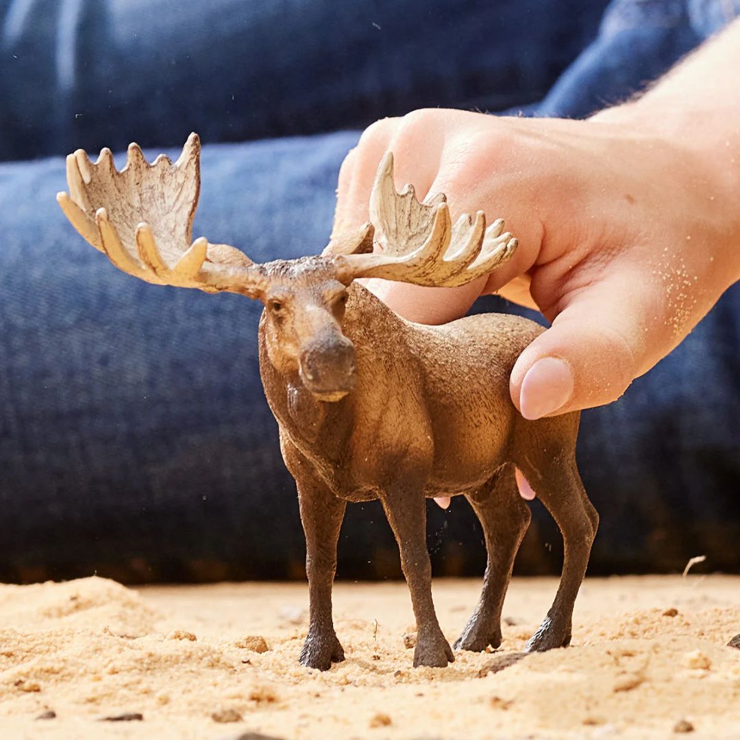 Schleich Wild Life Moose Bull 14781