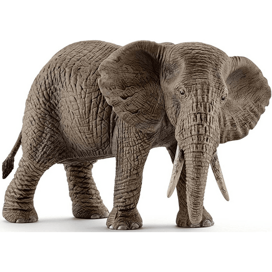 Toys N Tuck:Schleich 14761 African elephant female,Schleich