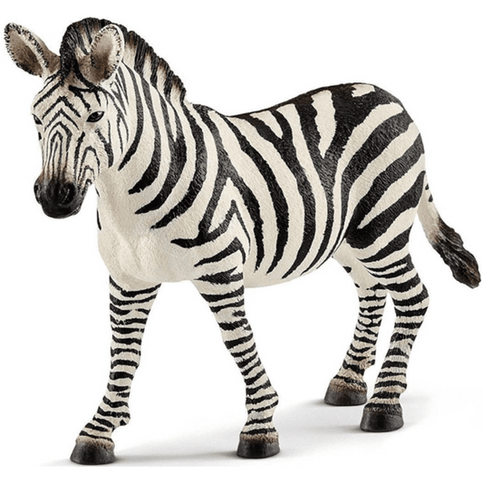 Toys N Tuck:Schleich 14810 Wlid Life Zebra Female,Schleich