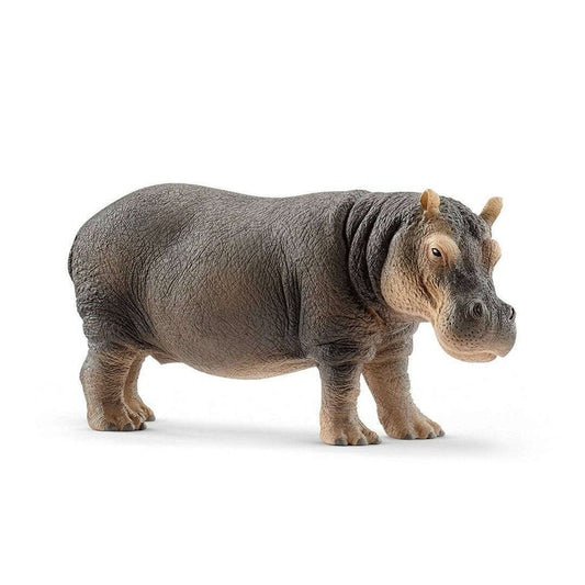 Toys N Tuck:Schleich 14814 Wild Life Hippopotamus,Schleich