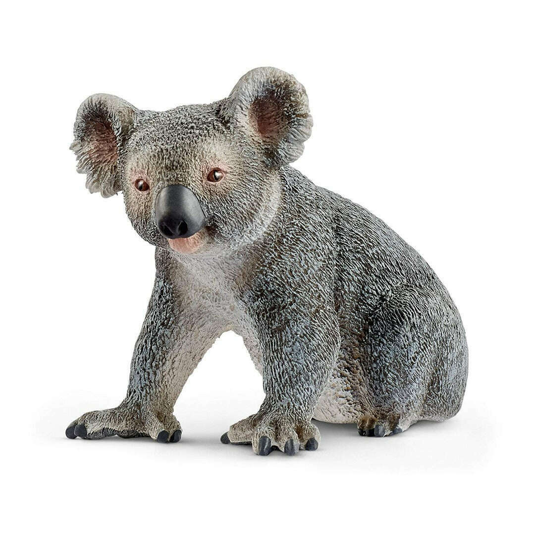 Toys N Tuck:Schleich 14815 Wild Life Koala Bear,Schleich