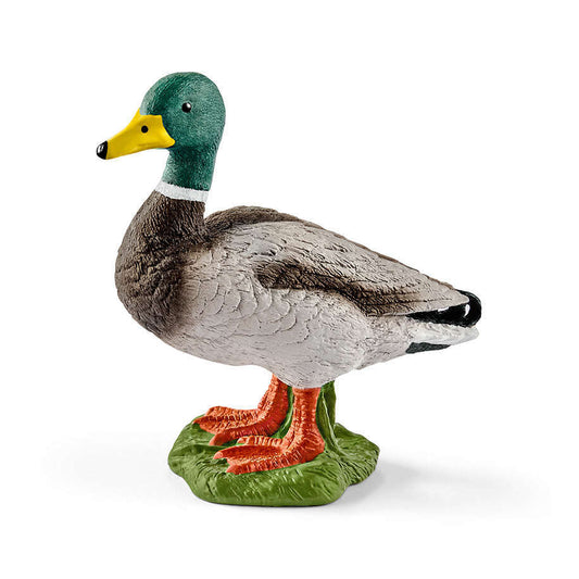 Toys N Tuck:Schleich 13824 Farm World Drake,Schleich