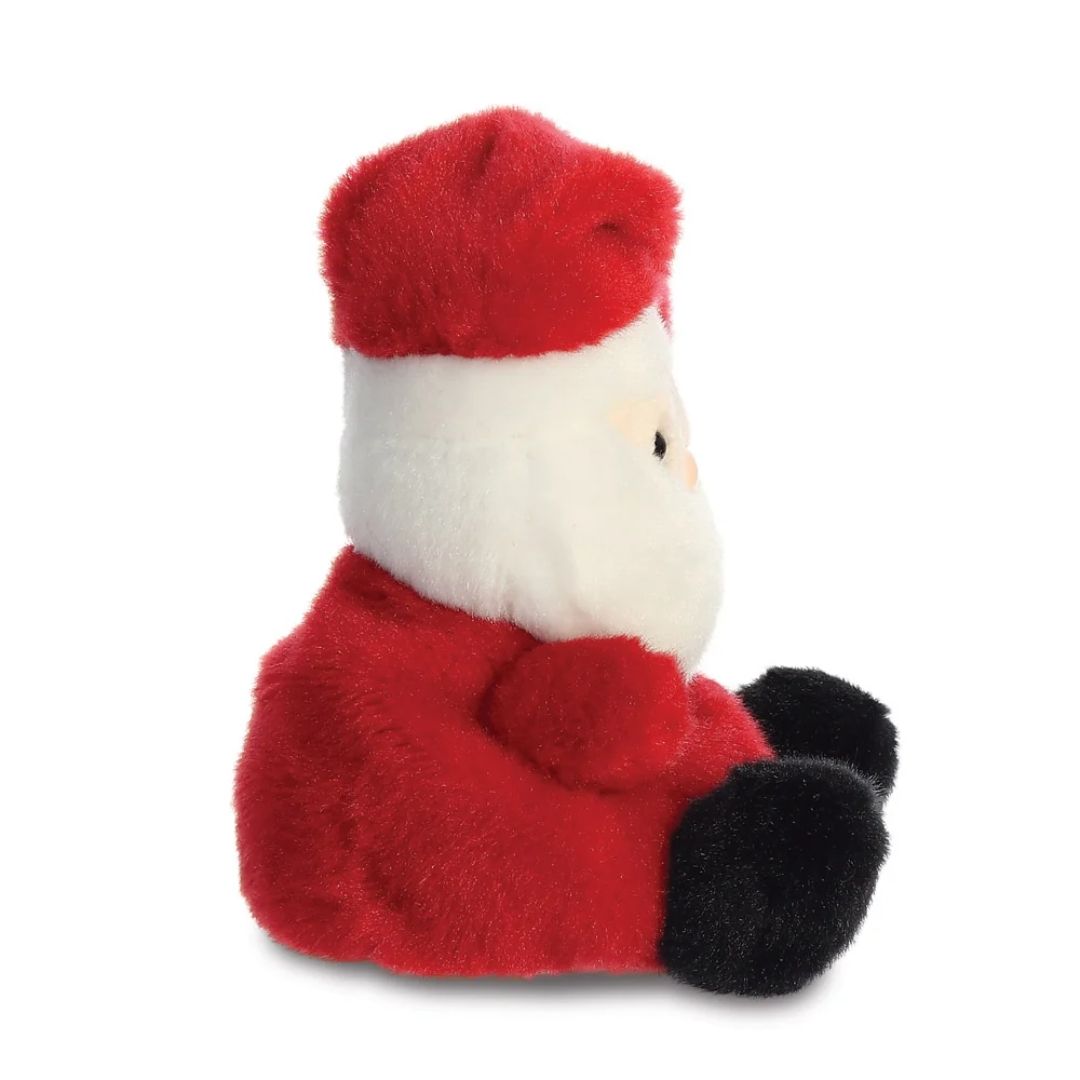 Palm Pals Santa Claus