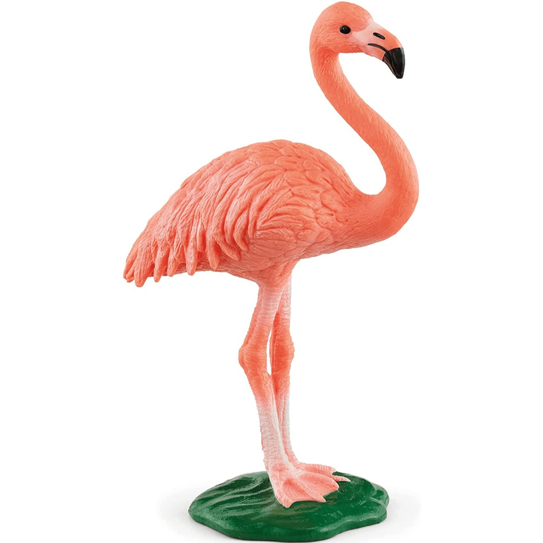 Toys N Tuck:Schleich 14849 Wild Life Flamingo,Schleich