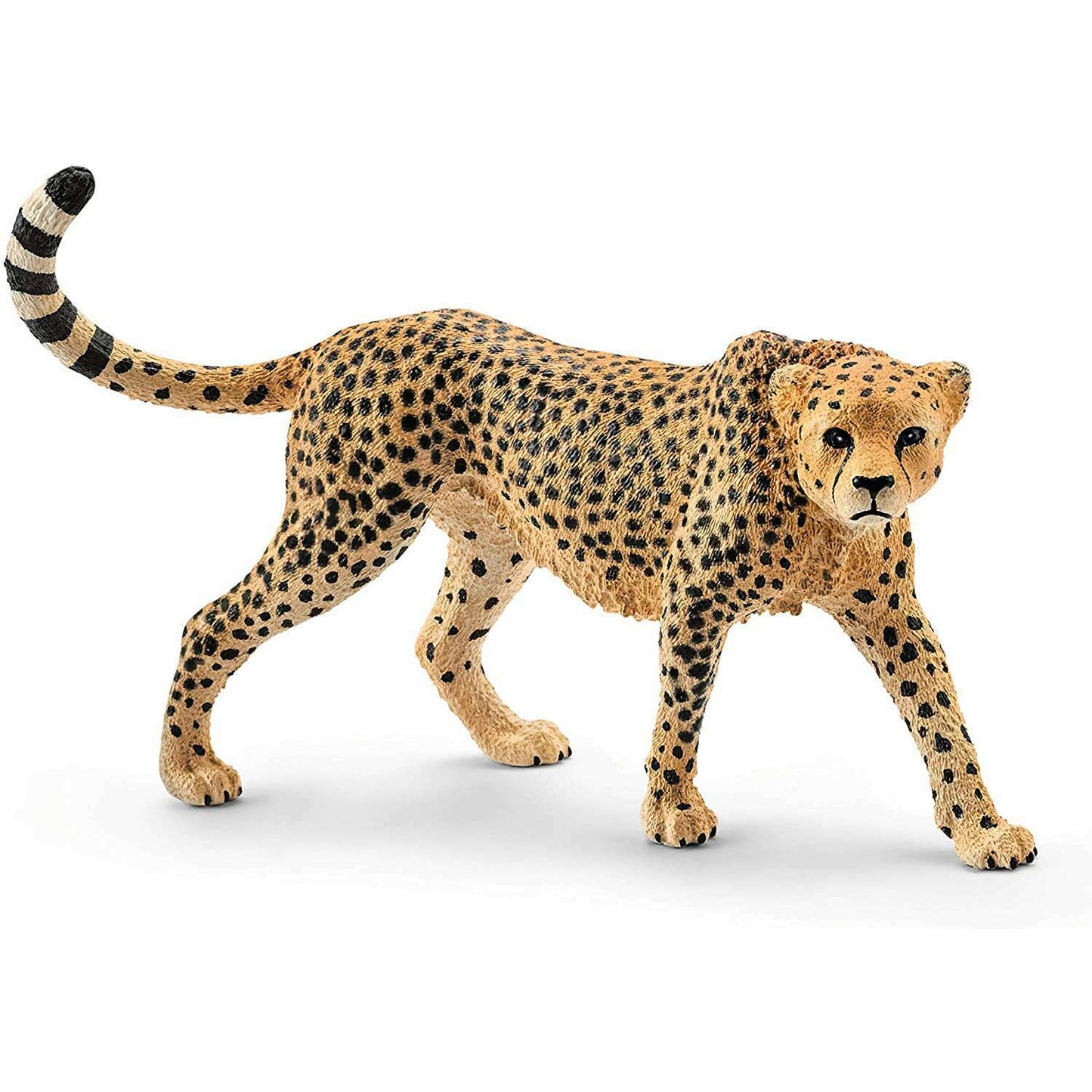 Toys N Tuck:Schleich 14746 Wild Life Cheetah, Female,Schleich