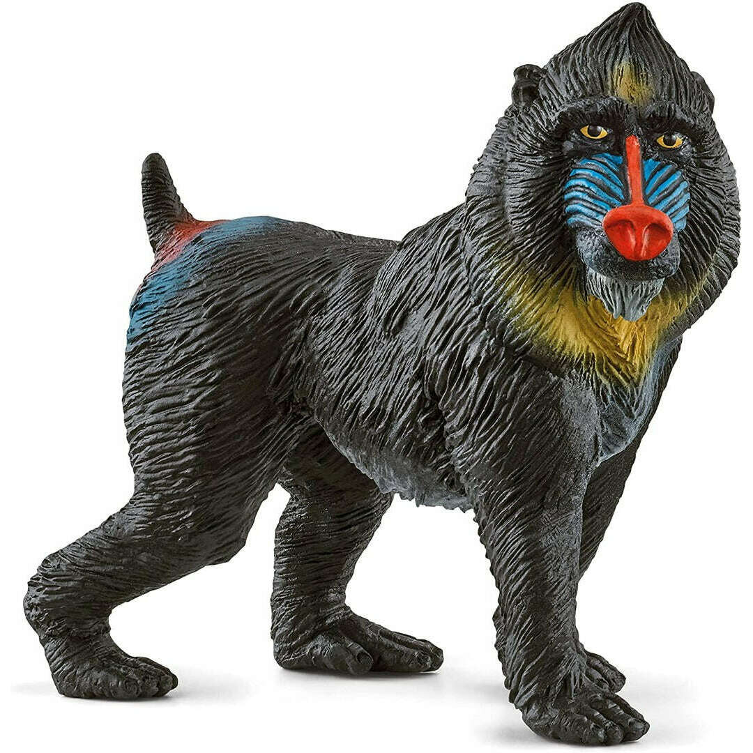 Toys N Tuck:Schleich 14856 Wild Life Mandrill,Schleich