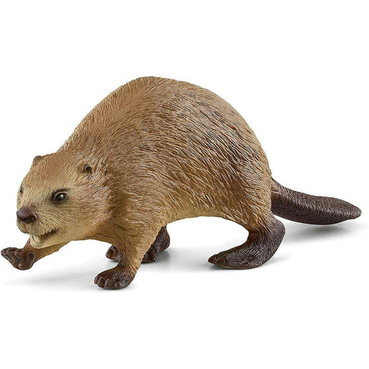 Toys N Tuck:Schleich 14855 Wild Life Beaver,Schleich