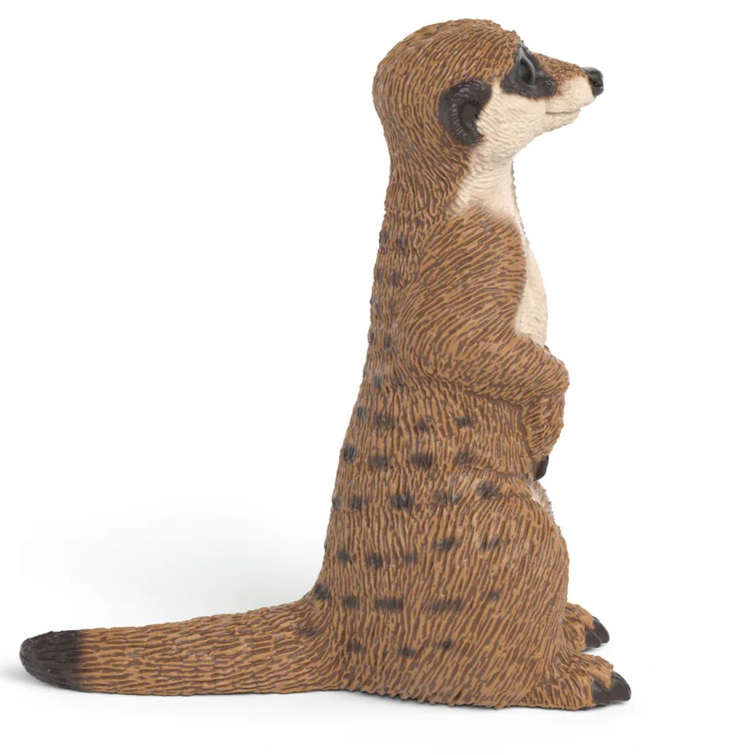 Schleich Wild Life Meerkat 14935