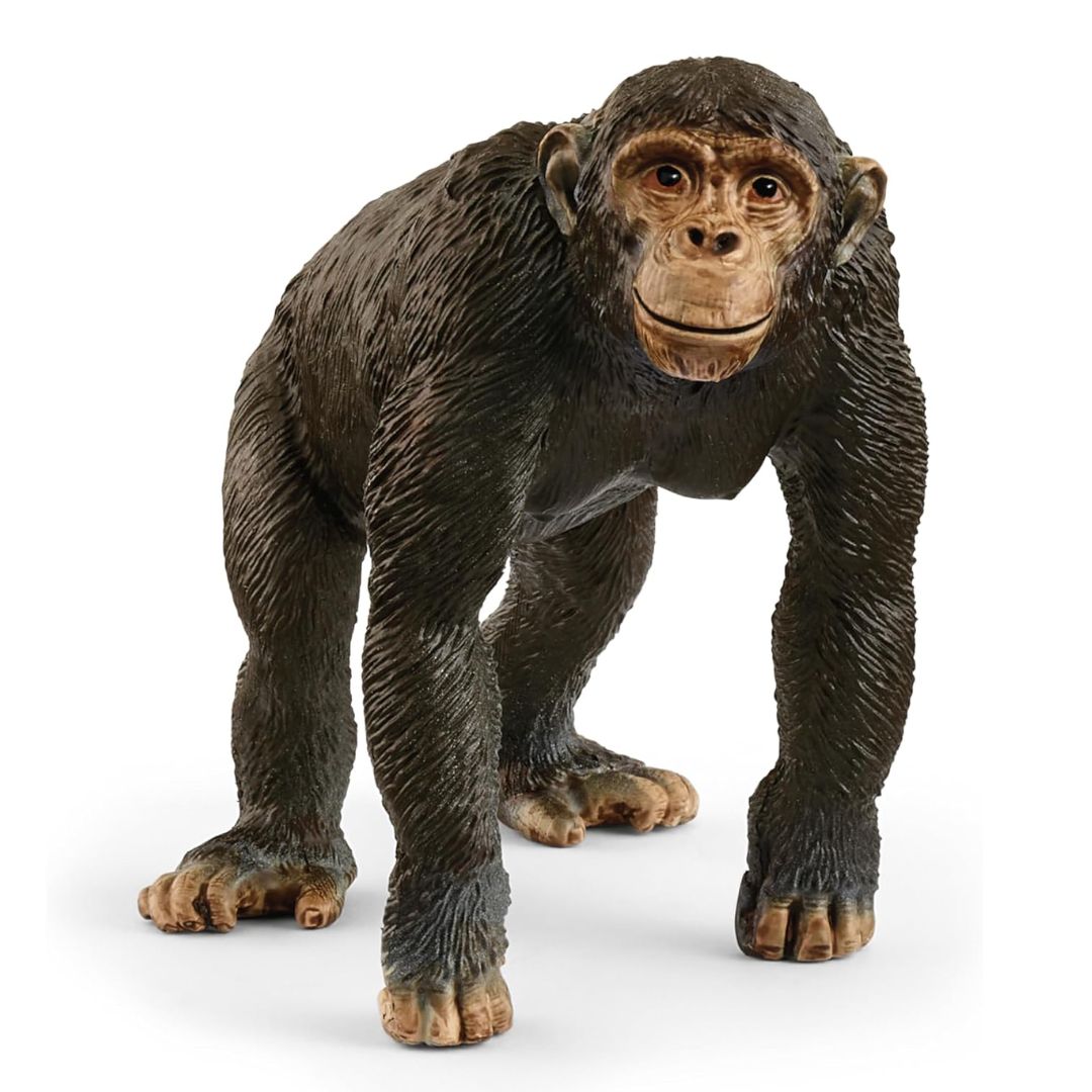 Schleich Wild Life Chimpanzee 14883