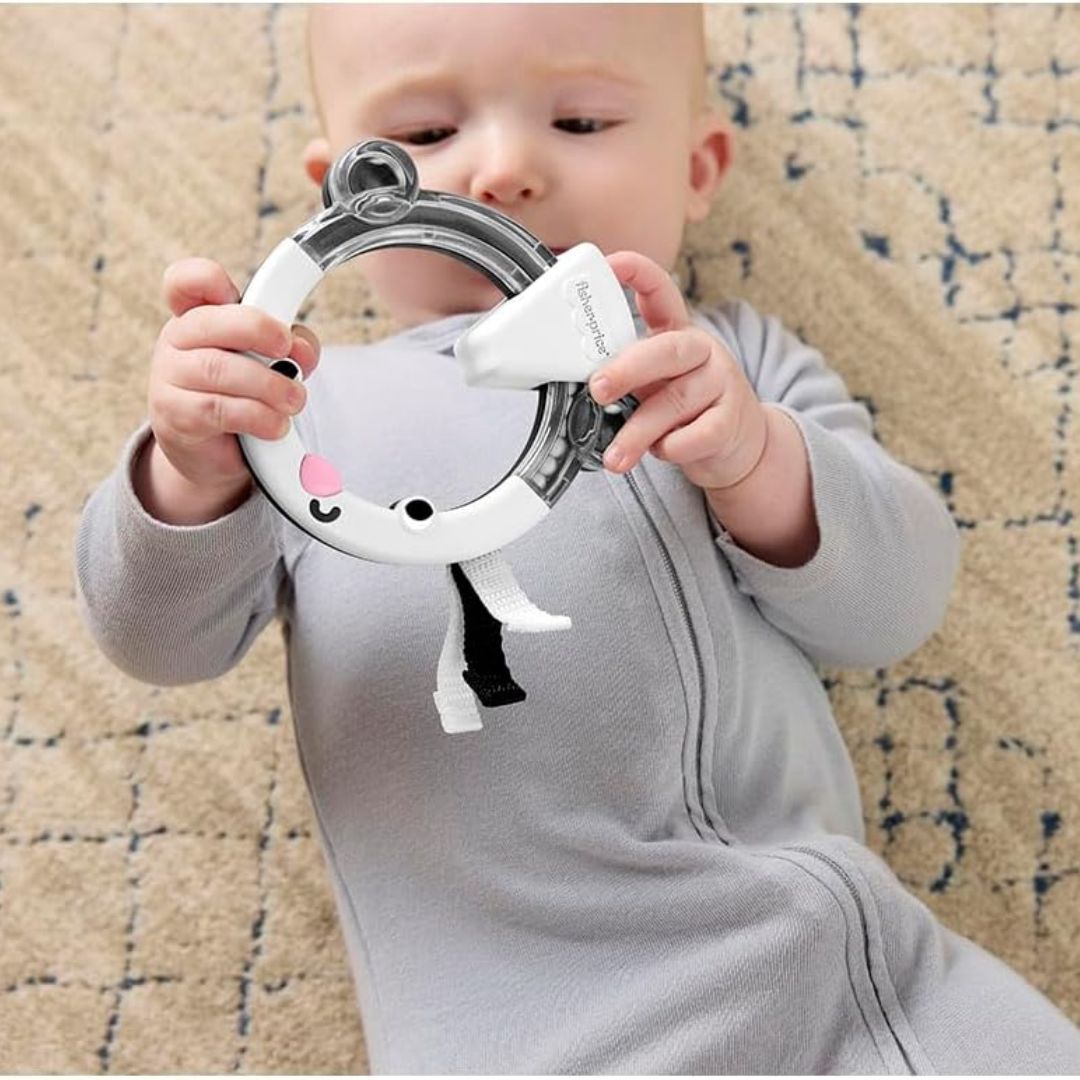 Fisher Price Skunk Activity Ring