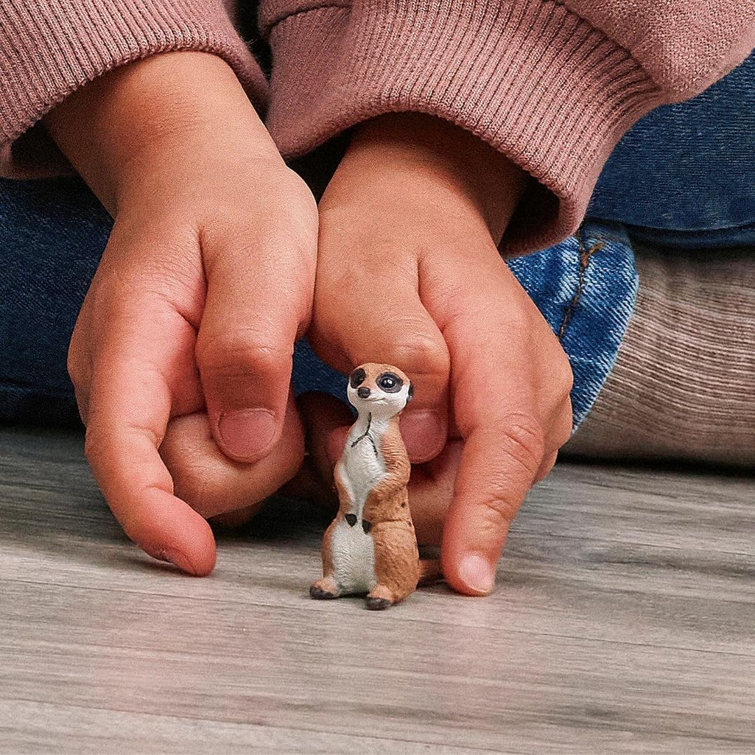 Schleich Wild Life Meerkat 14935