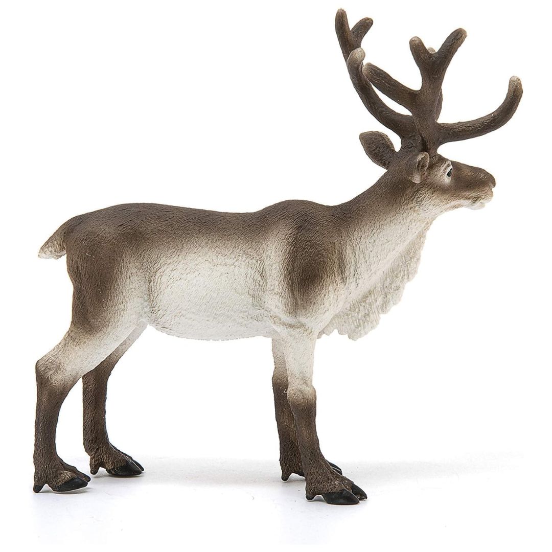 Schleich Wild Life Reindeer 1837