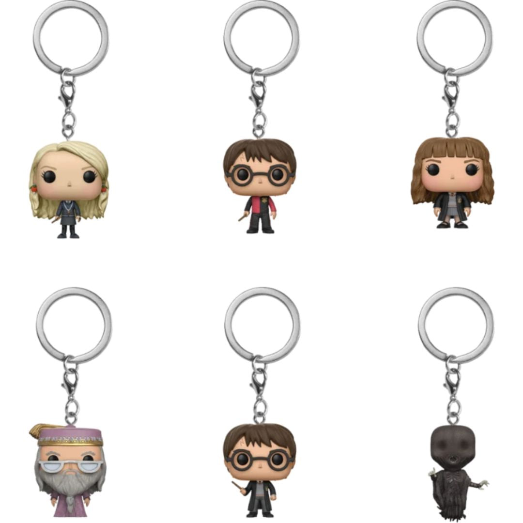 Funko Harry Potter Mystery Pocket Pop Keychain