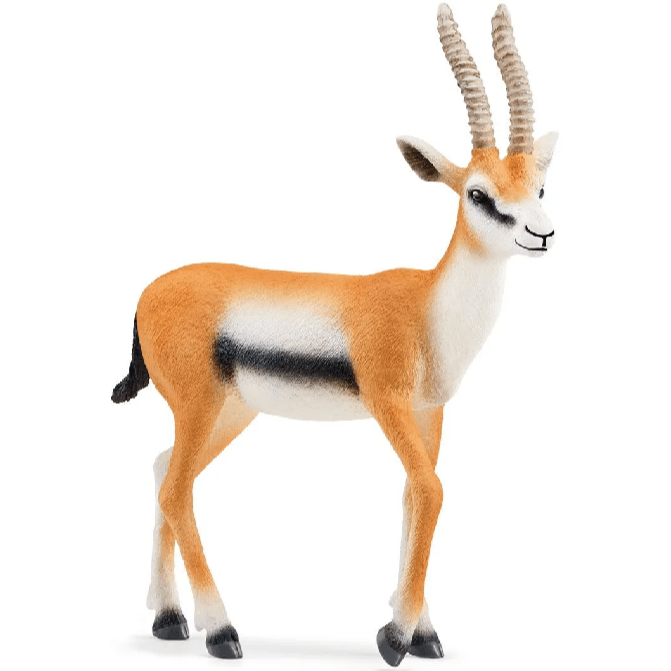 Toys N Tuck:Schleich 14861 Wild Life Thomson Gazelle,Schleich