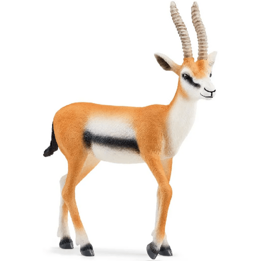 Toys N Tuck:Schleich 14861 Wild Life Thomson Gazelle,Schleich