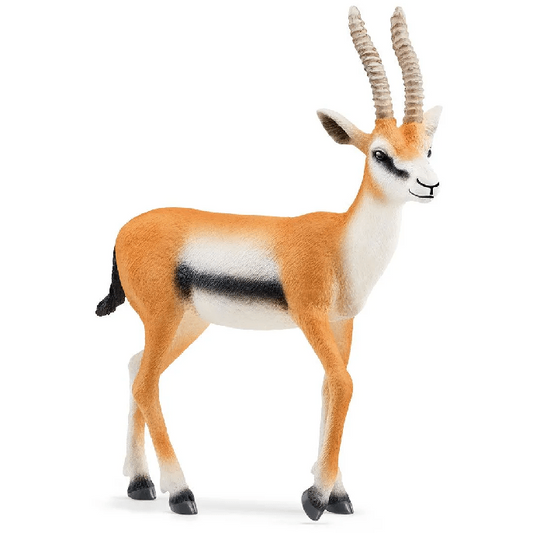 Toys N Tuck:Schleich 14861 Wild Life Thomson Gazelle,Schleich