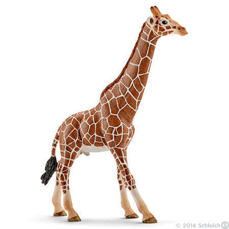 Toys N Tuck:Schleich 14749 Wild Life Giraffe Male,Schleich