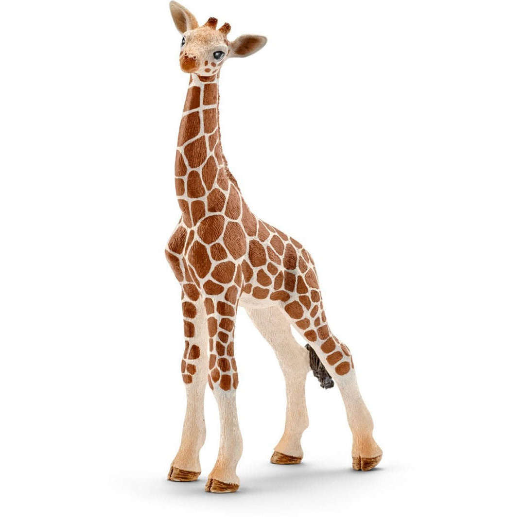 Toys N Tuck:Schleich 14751 Wild Life Giraffe Calf,Schleich