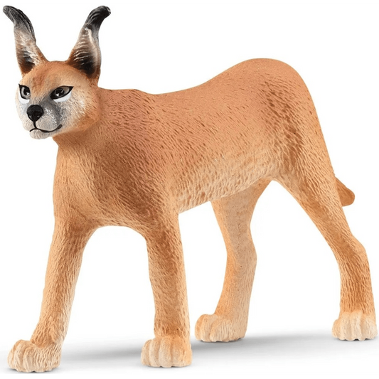 Toys N Tuck:Schleich 14867 Wild Life Caracal Female,Schleich