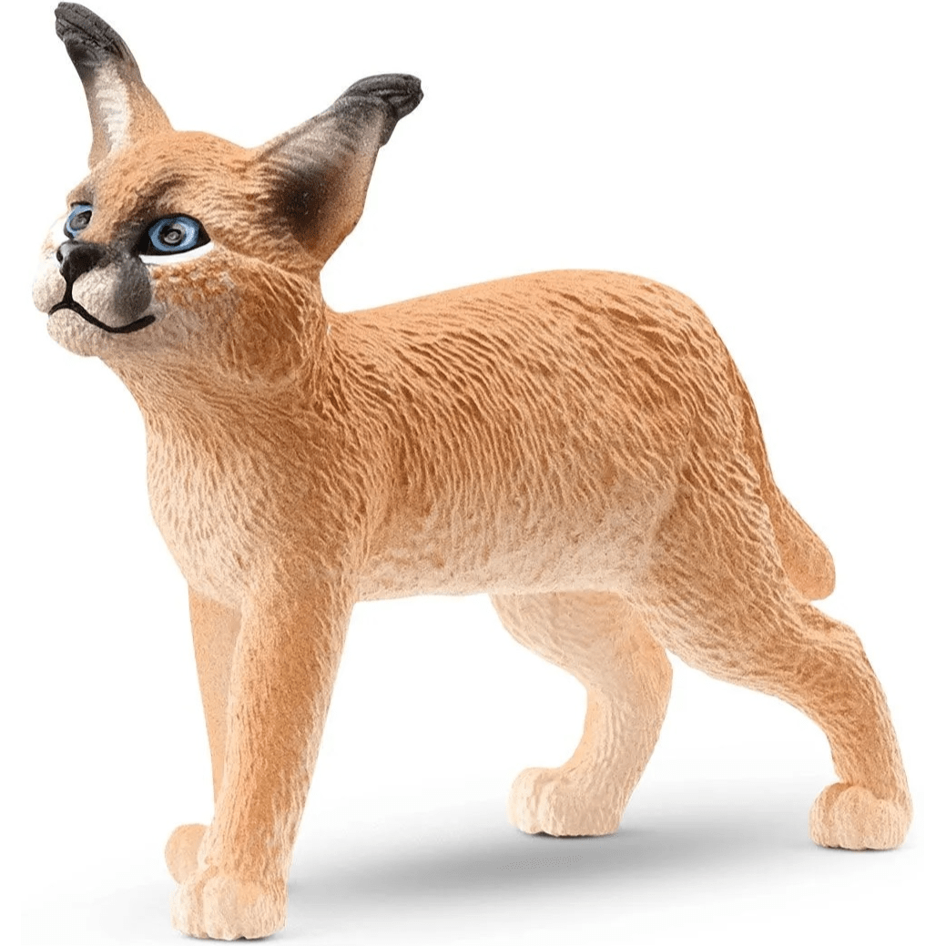 Toys N Tuck:Schleich 14868 Wild Life Caracal Baby,Schleich