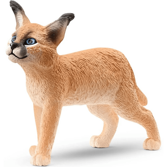 Toys N Tuck:Schleich 14868 Wild Life Caracal Baby,Schleich