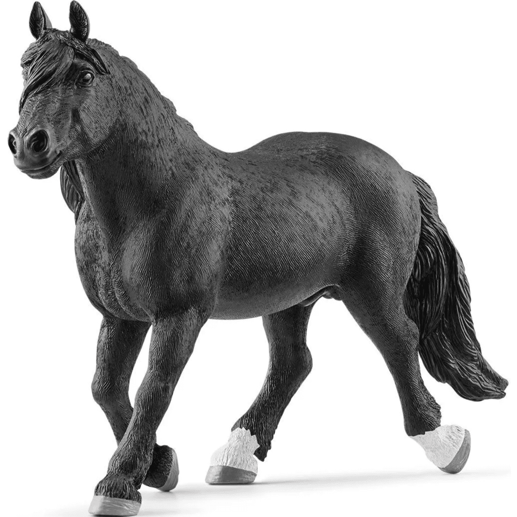 Toys N Tuck:Schleich 13958 Farm World Noriker Stallion,Schleich