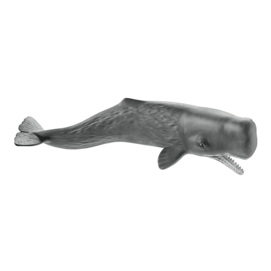 Toys N Tuck:Schleich 14764 Wild Life Sperm whale,Schleich