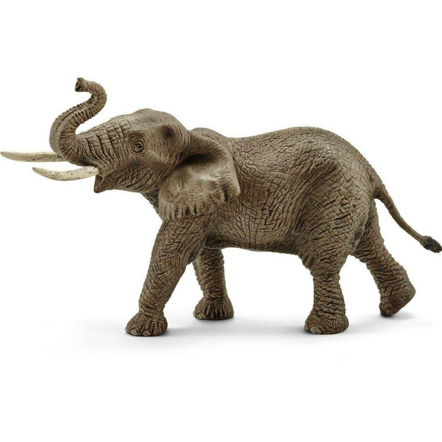 Toys N Tuck:Schleich Wild Life 14762 African Elephant Male,Schleich
