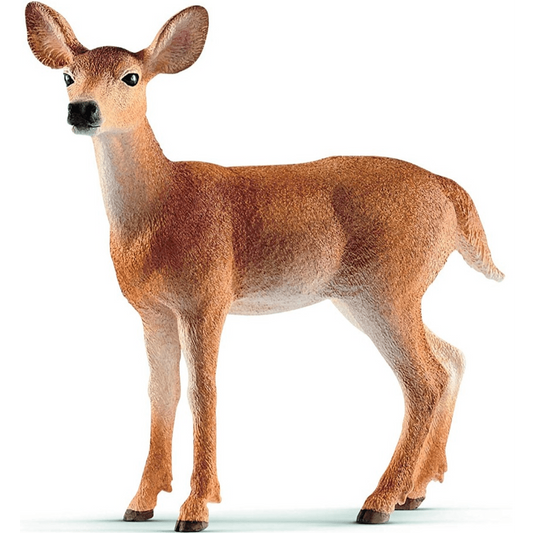 Toys N Tuck:Schleich 14819 Wild Life White-tailed Doe,Schleich