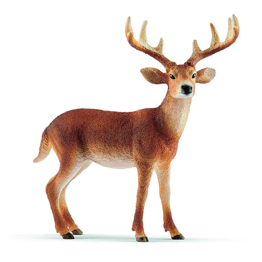 Toys N Tuck:Schleich 14818 Wild Life White-tailed Buck,Schleich