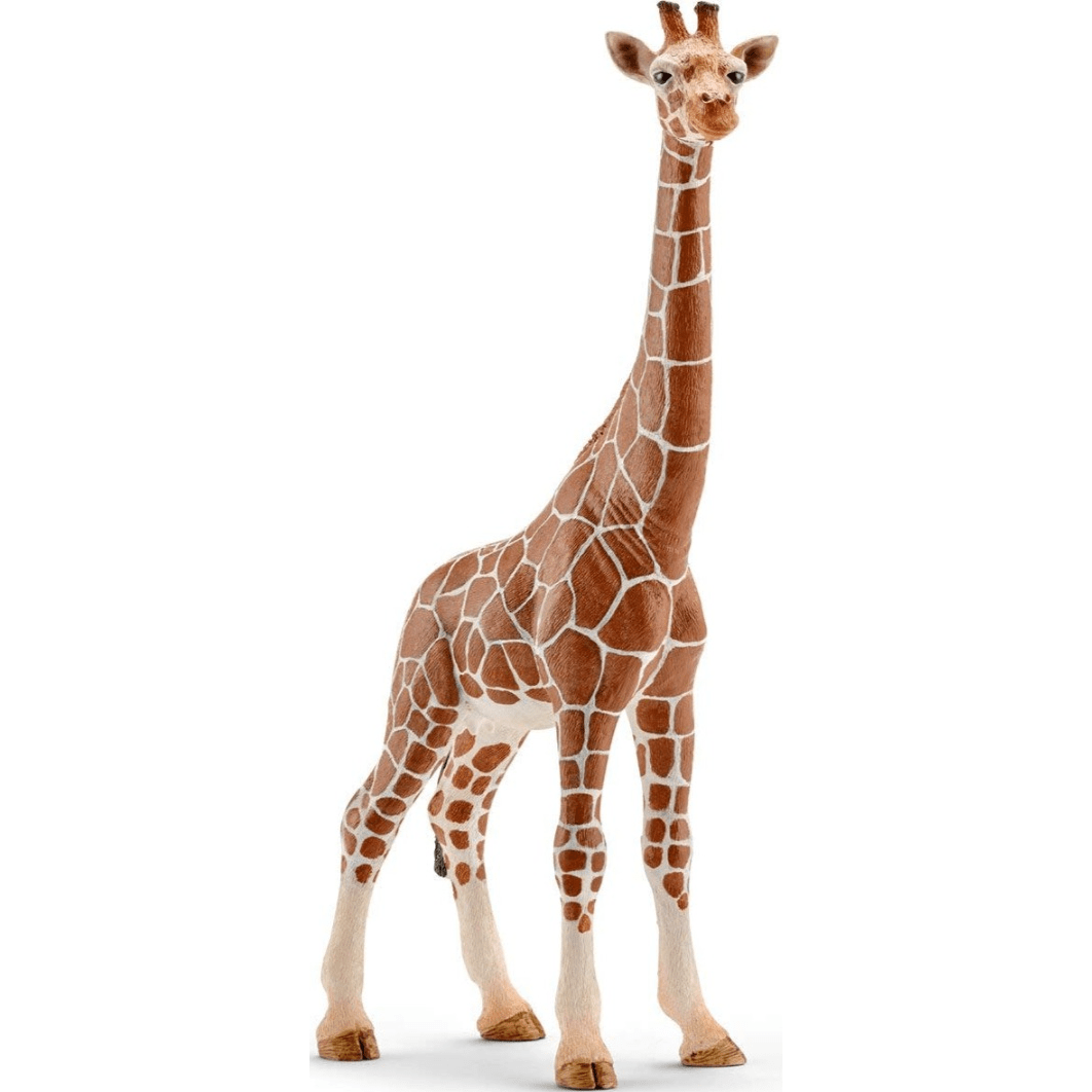 Toys N Tuck:Schleich 14750 Wild Life Giraffe Female,Schleich