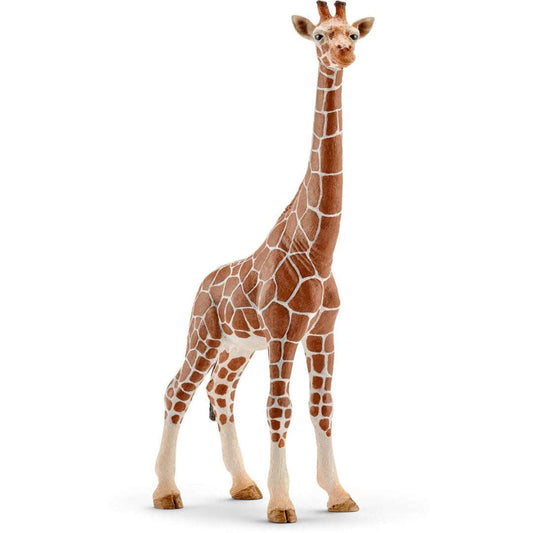 Toys N Tuck:Schleich 14750 Wild Life Giraffe Female,Schleich
