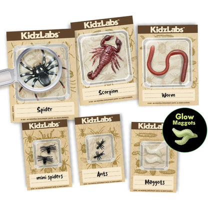 Toys N Tuck:4M KidzLabs Creepy Crawly Digging Kit,Kidzlabs