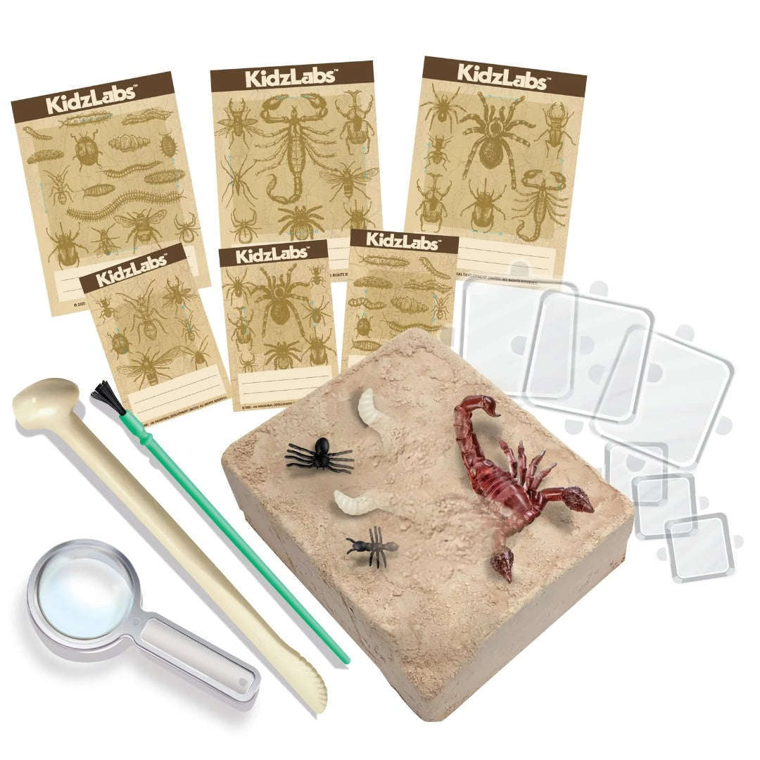 Toys N Tuck:4M KidzLabs Creepy Crawly Digging Kit,Kidzlabs