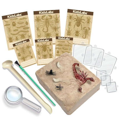 Toys N Tuck:4M KidzLabs Creepy Crawly Digging Kit,Kidzlabs