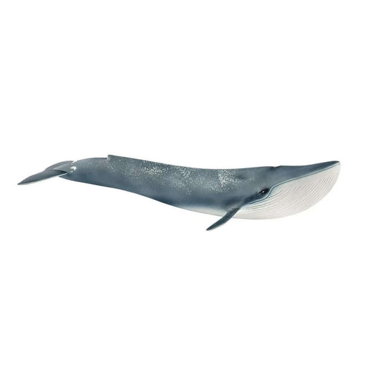 Toys N Tuck:Schleich 14806 Wild Life Blue whale,Schleich
