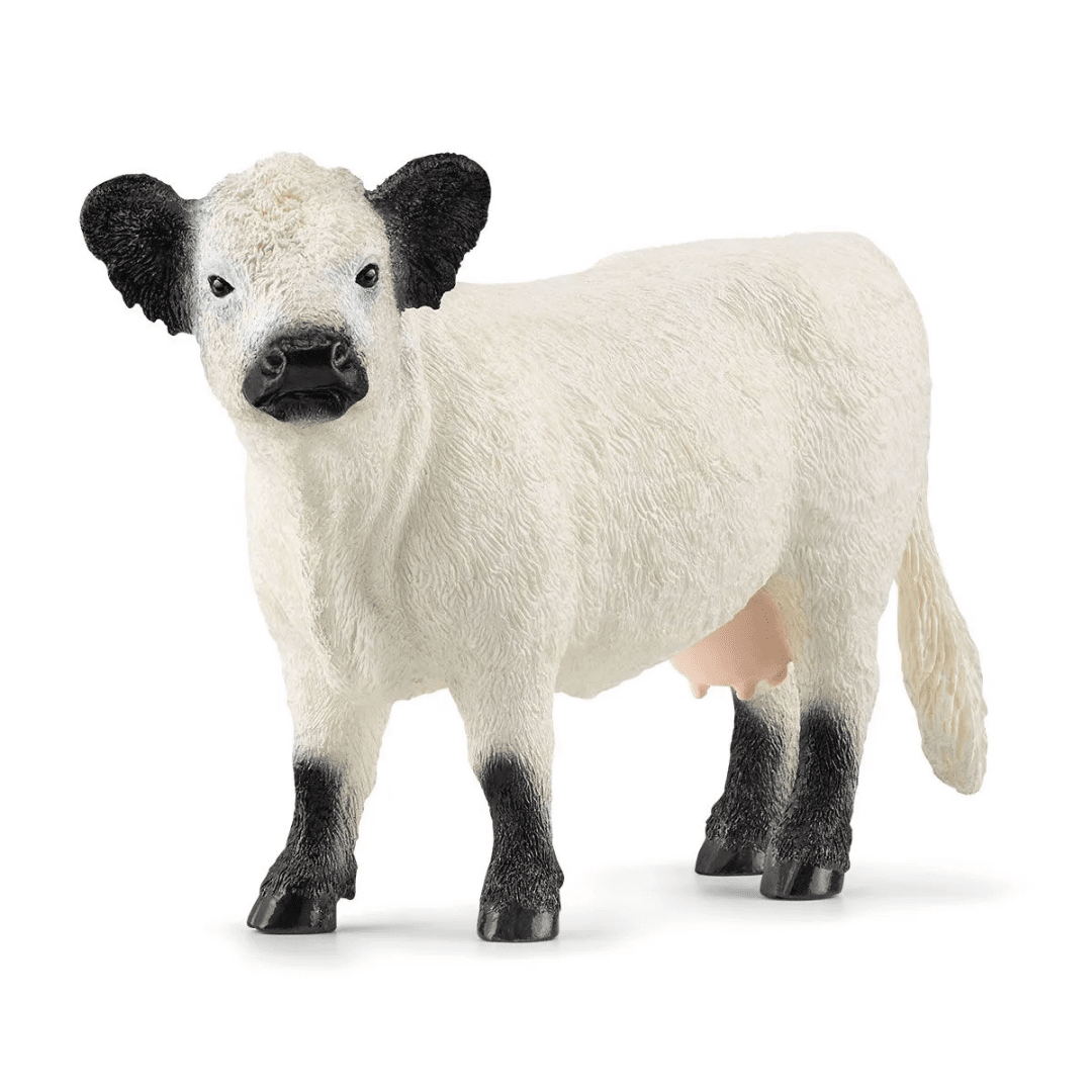 Toys N Tuck:Schleich 13960 Farm World Galloway Cow,Schleich