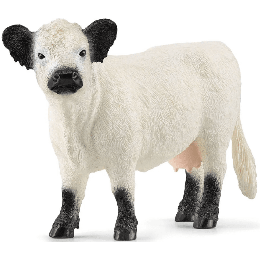 Toys N Tuck:Schleich 13960 Farm World Galloway Cow,Schleich