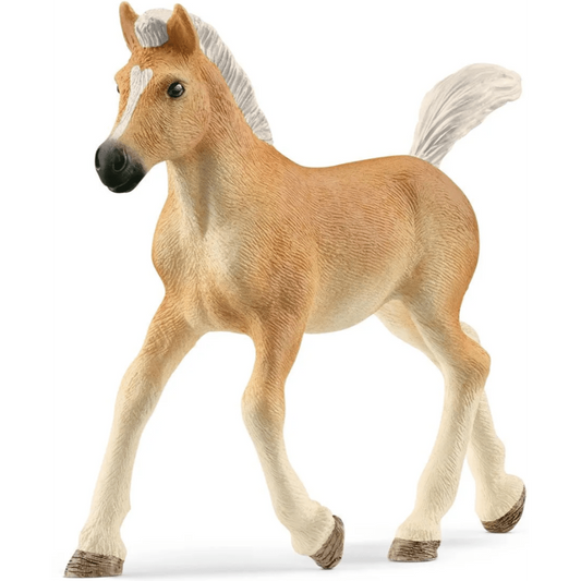 Toys N Tuck:Schleich 13951 Horse Club Haflinger Foal,Schleich