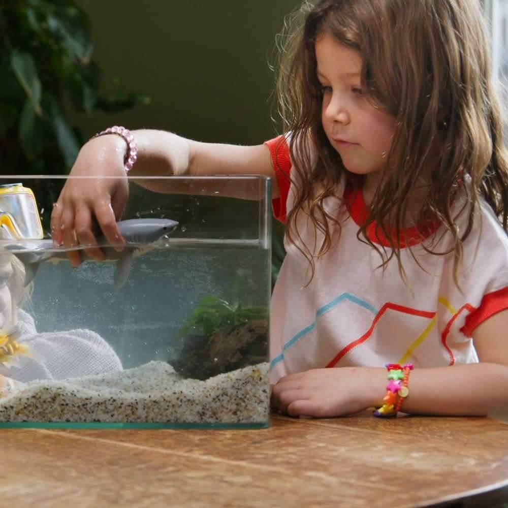 34988_02af6149-9d6d-4ab7-a9d7-5e4b6570b7340