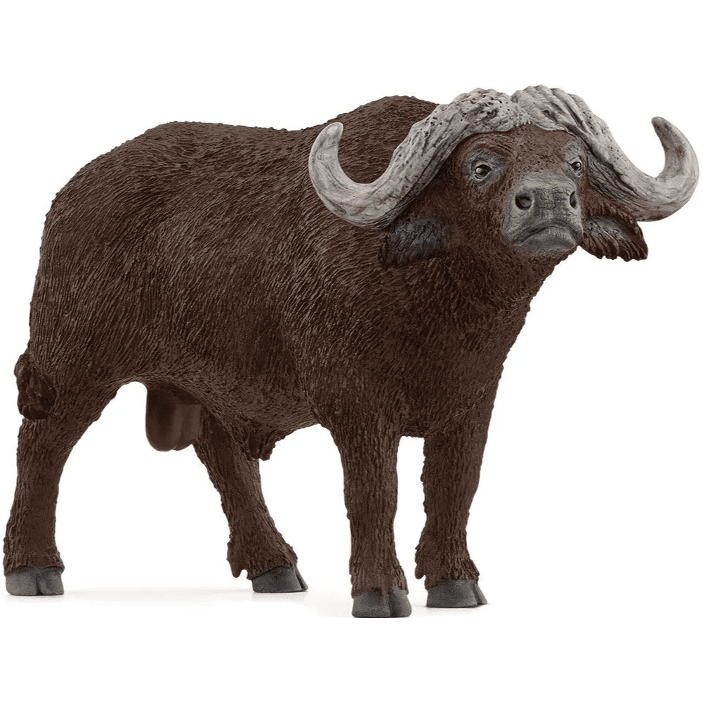 Toys N Tuck:Schleich 14872 Wild Life African Buffalo,Schleich