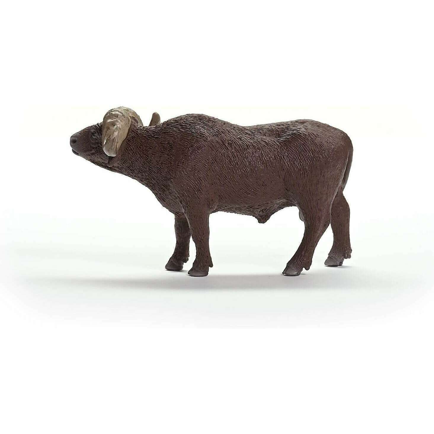 37521_3c2cbe43-aec4-4ac1-84de-3d9bf995f22c0