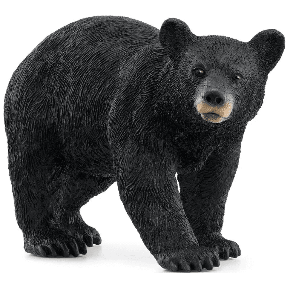 Toys N Tuck:Schleich 14869 Wild Life American Black Bear,Schleich