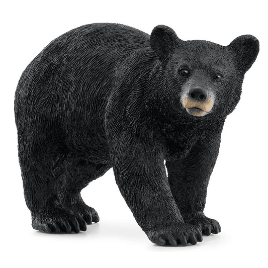 Toys N Tuck:Schleich 14869 Wild Life American Black Bear,Schleich