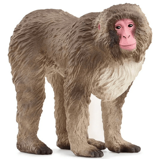 Toys N Tuck:Schleich 14871 Wild Life Japanese Macaque,Schleich