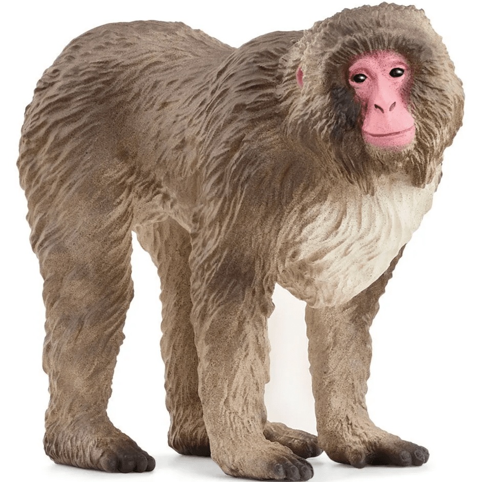 Toys N Tuck:Schleich 14871 Wild Life Japanese Macaque,Schleich